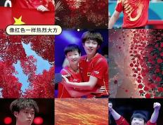 9you娱乐-热血澎湃，球员们拼尽全力，争夺荣耀的简单介绍