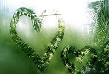 9you娱乐-中国队横扫印尼队，黄鸭组合点燃赛场