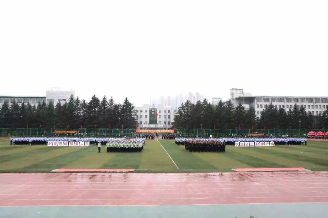 九游游戏-力争上游：锐意争胜赛场精彩的简单介绍
